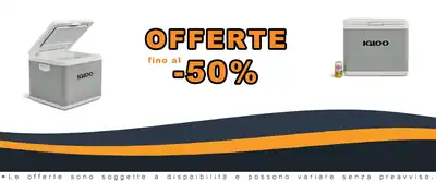 Friggitore Igloo IH45 43 Litri 12 V 230 V