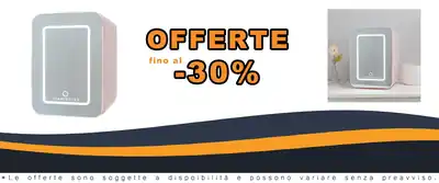 Refrigeratore Mini Flamingueo 10L LED Mirror 12V/220V