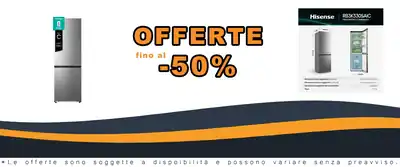 Refrigeratore No Frost Hisense RB3K330SAIC 330L Classe C